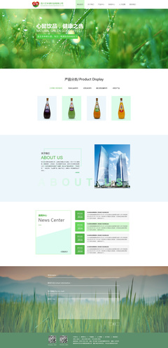 面試現場網站作品|企業官網|網頁|自貢妹子長得乖 - 原創設計作品 
