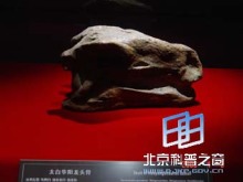 龍都珍品(一) - 自貢燈會彩燈,燈會彩燈界的行業門戶網站,聚合彩燈企業提供最全的彩燈會燈展花車信息,搜羅展會活動信息和歷屆燈會集錦