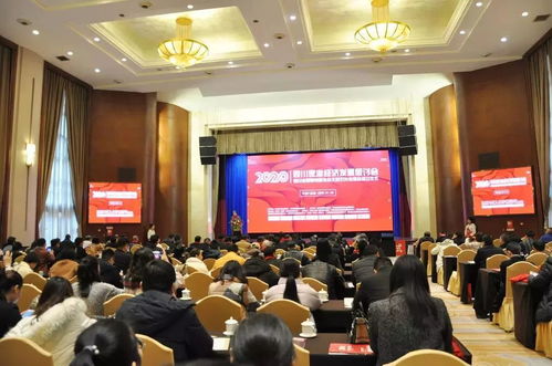 巔峰智業(yè)邢祺受聘為四川省照明電器協(xié)會(huì)文旅燈光專(zhuān)委會(huì)專(zhuān)家顧問(wèn)