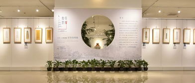 歷史文化與藝術(shù)的多元融合——上海思博職業(yè)技術(shù)學(xué)院中國(guó)傳統(tǒng)文化教育活動(dòng)開(kāi)放日掠影